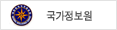 국가정보원